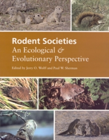 Image for Rodent Societies