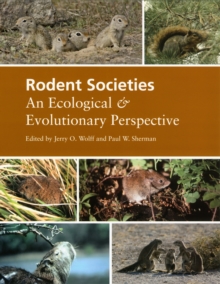 Image for Rodent Societies: An Ecological and Evolutionary Perspective