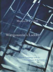Image for Wittgenstein's ladder: poetic language and the strangeness of the ordinary