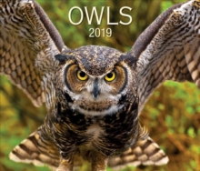 Image for OWLS 2019 CALENDAR
