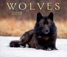 Image for Wolves 2019