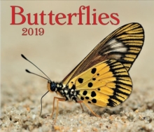 Image for Butterflies 2019