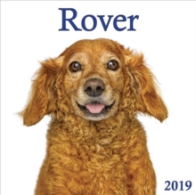 Image for Rover 2019