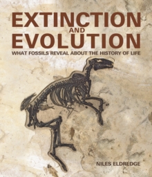 Image for Extinction and evolution  : what fossils reveal about the history of life