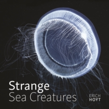 Image for Strange Sea Creatures
