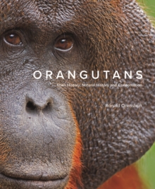 Image for Orangutans
