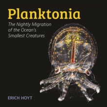 Planktonia: The Nightly Migration of the Ocean’s Smallest Creatures