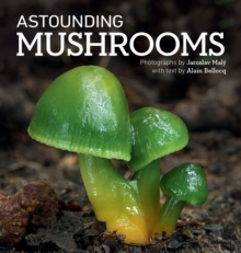 Image for Astounding mushrooms