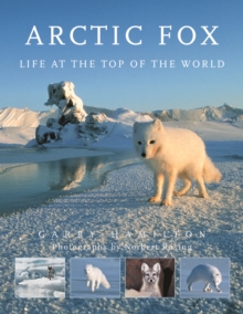 Image for Arctic fox  : life at the top of the world