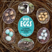 Image for Bird Eggs