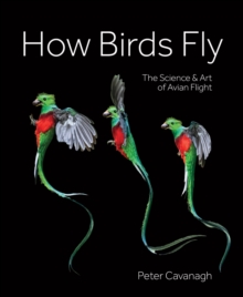 Image for How Birds Fly