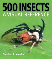 Image for 500 Insects: A Visual Reference