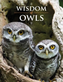 Image for Wisdom of Owls