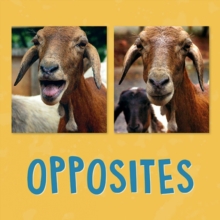 Image for Opposites : English Edition