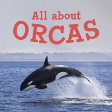 Image for All about Orcas : English Edition