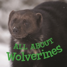 Image for All about Wolverines : English Edition