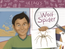 Image for Uliaq's Amazing Animals: Wolf Spider : English Edition