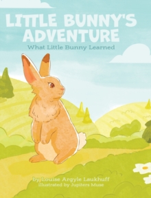 Image for Little Bunny's Adventure