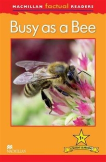 Image for Macmillan Factual Readers: Busy as a Bee