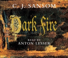 Image for Dark fire