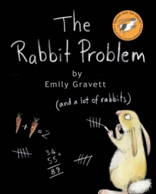 Image for The Rabbit Problem