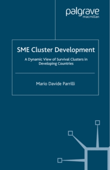 Image for SME cluster development: a dynamic view on survival clusters in developing countries