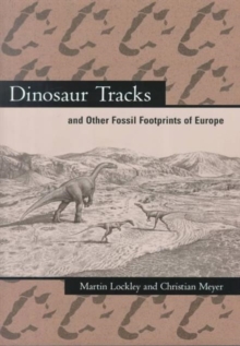 Image for Dinosaur tracks and other fossil footprints of Europe