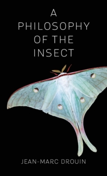 Philosophy of the Insect