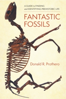 Image for Fantastic Fossils