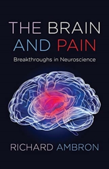 Image for The brain and pain  : breakthroughs in neuroscience