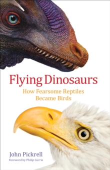 Image for Flying dinosaurs: how fearsome reptiles became birds