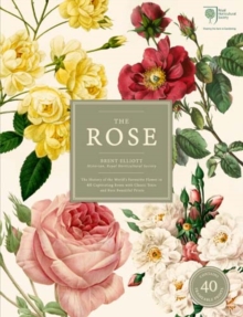 Image for The rose  : the history of the world's favourite flower in 40 captivating roses with classic texts and beautiful rare prints