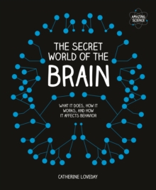Image for The Secret World of the Brain