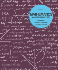 Image for Mathematics  : a curious history