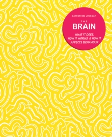 Image for The brain  : what it does, how it works & how it affects behaviour