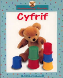 Image for Cyfrif Big Book