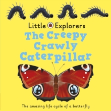 Image for The creepy crawly caterpillar  : the amazing life cycle of a butterfly