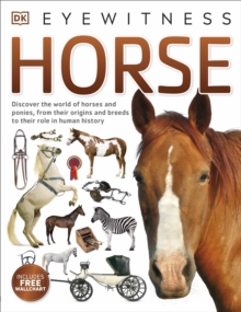 Image for Horse