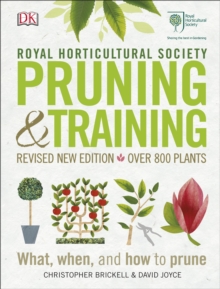 Image for Pruning & training