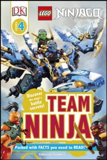 Image for Team Ninja