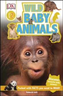 Image for Wild baby animals