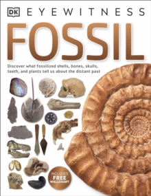 Image for Fossil