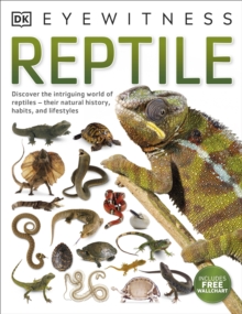 Image for Reptile