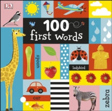 Image for 100 First Words.