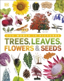 Image for Trees, leaves, flowers & seeds  : a visual encyclopedia of the plant kingdom