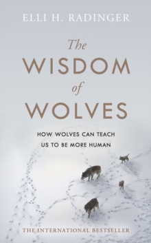 Image for The wisdom of wolves  : how they think, plan and look after each other