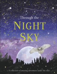 Image for Through the Night Sky
