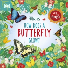 Image for How does a butterfly grow?