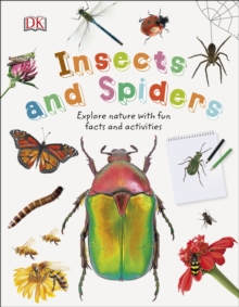 Image for Insects and spiders