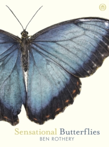 Image for Sensational butterflies